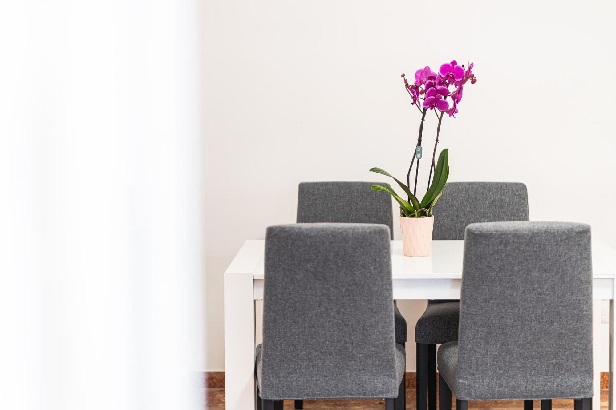Domus Leo Appartement
